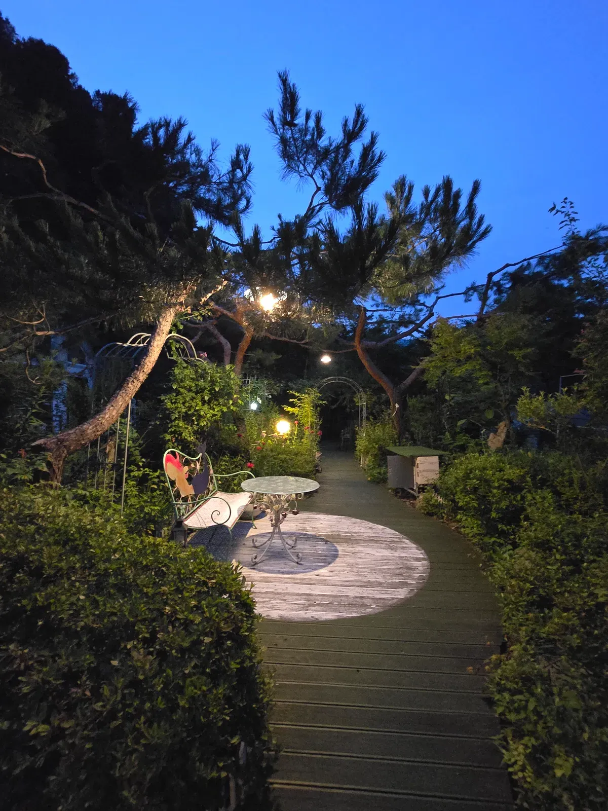 타샤의정원 야간 9